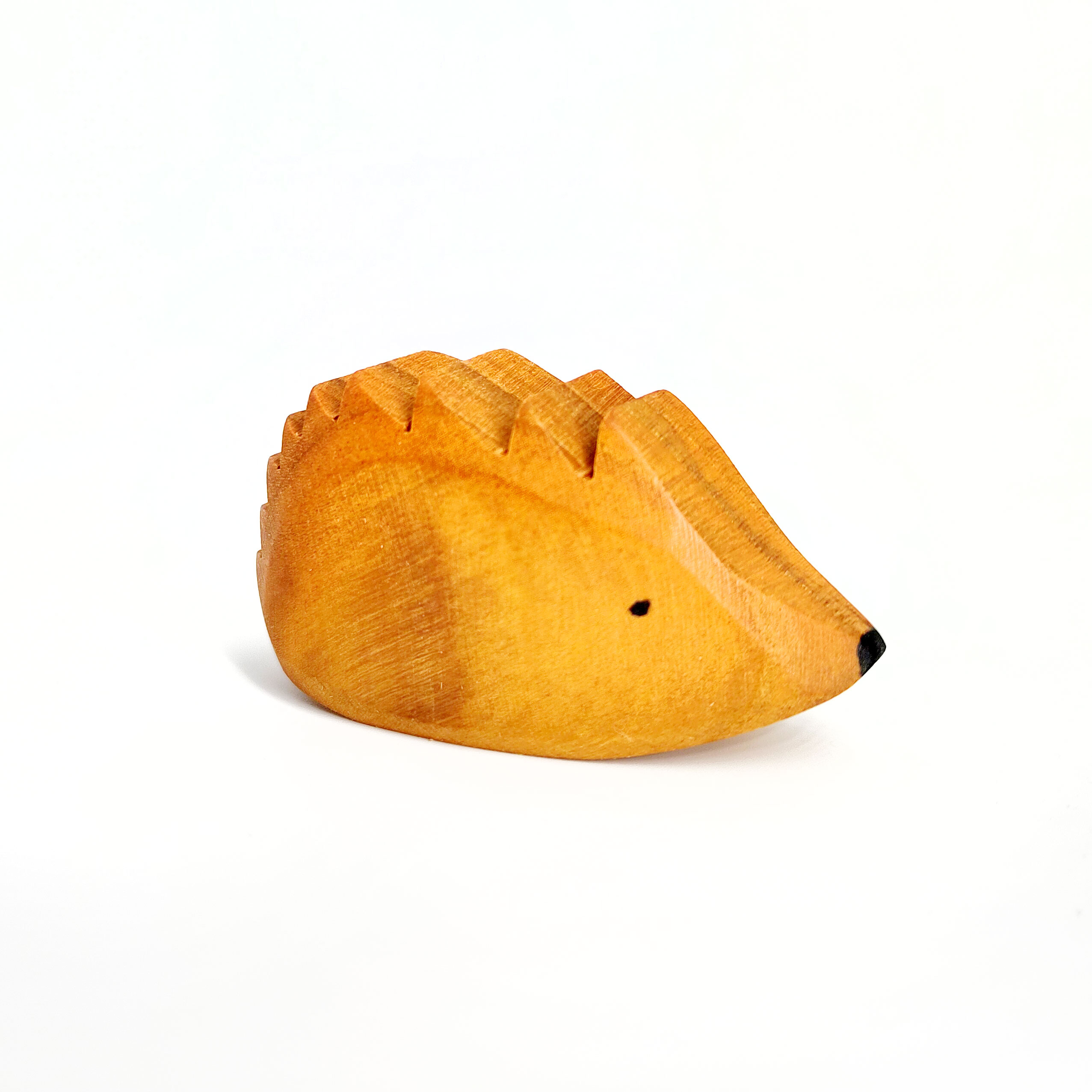 Igor der Igel – Bild 5