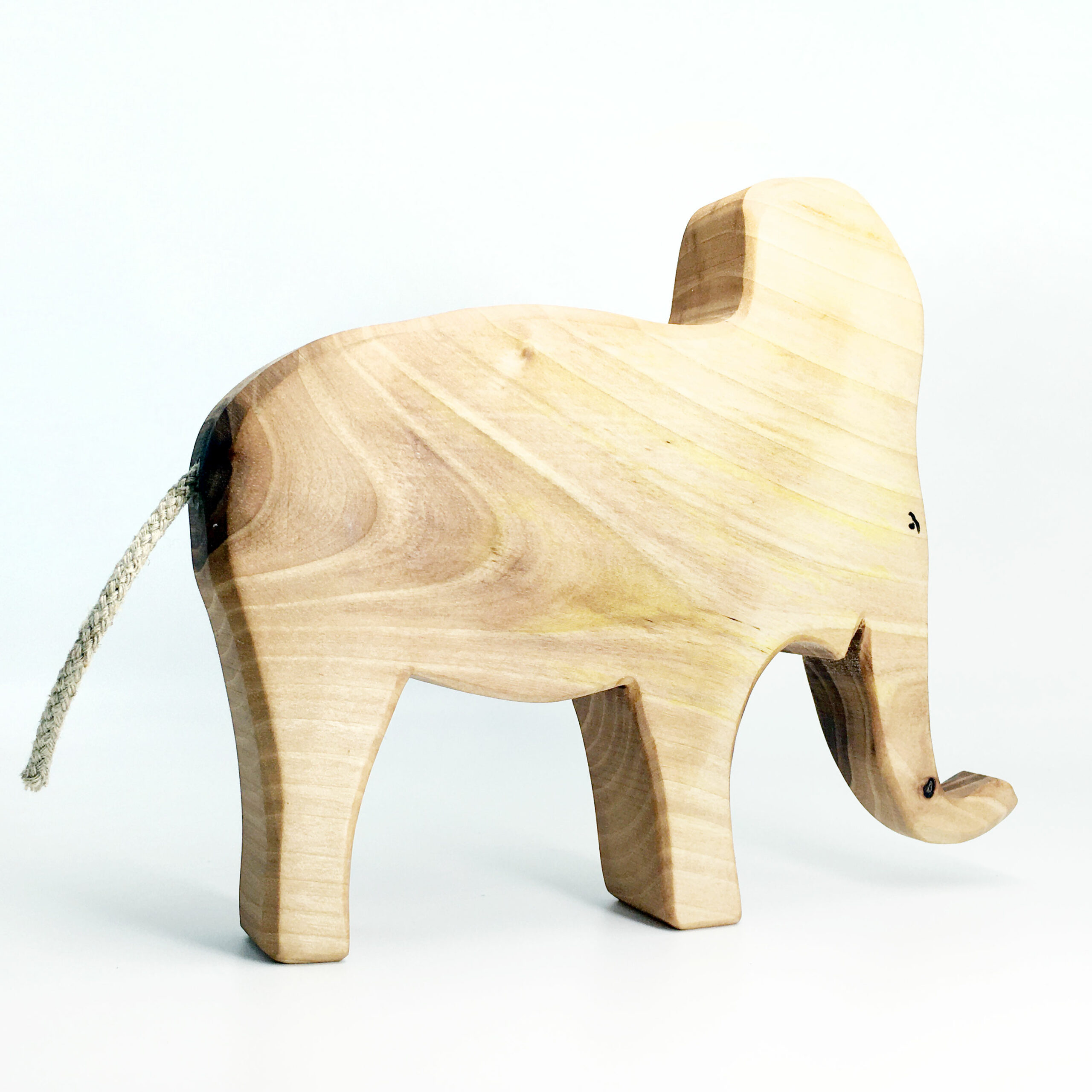 Brain der Elefantenbulle – Bild 6