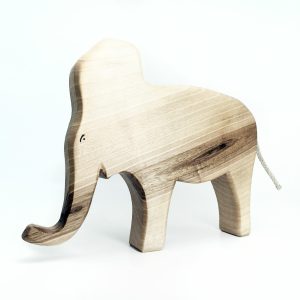 Brain der Elefantenbulle