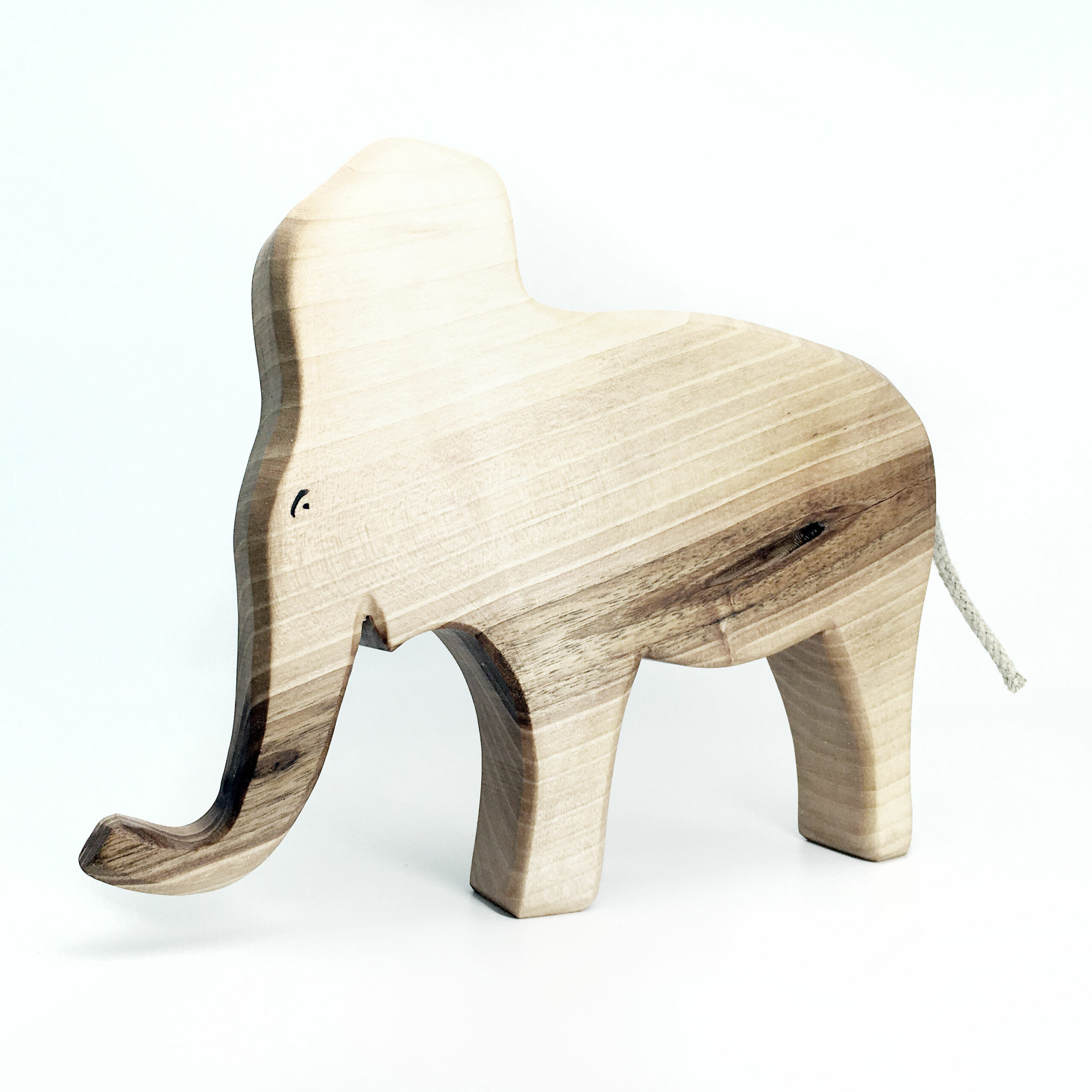 Brain der Elefantenbulle – Bild 5