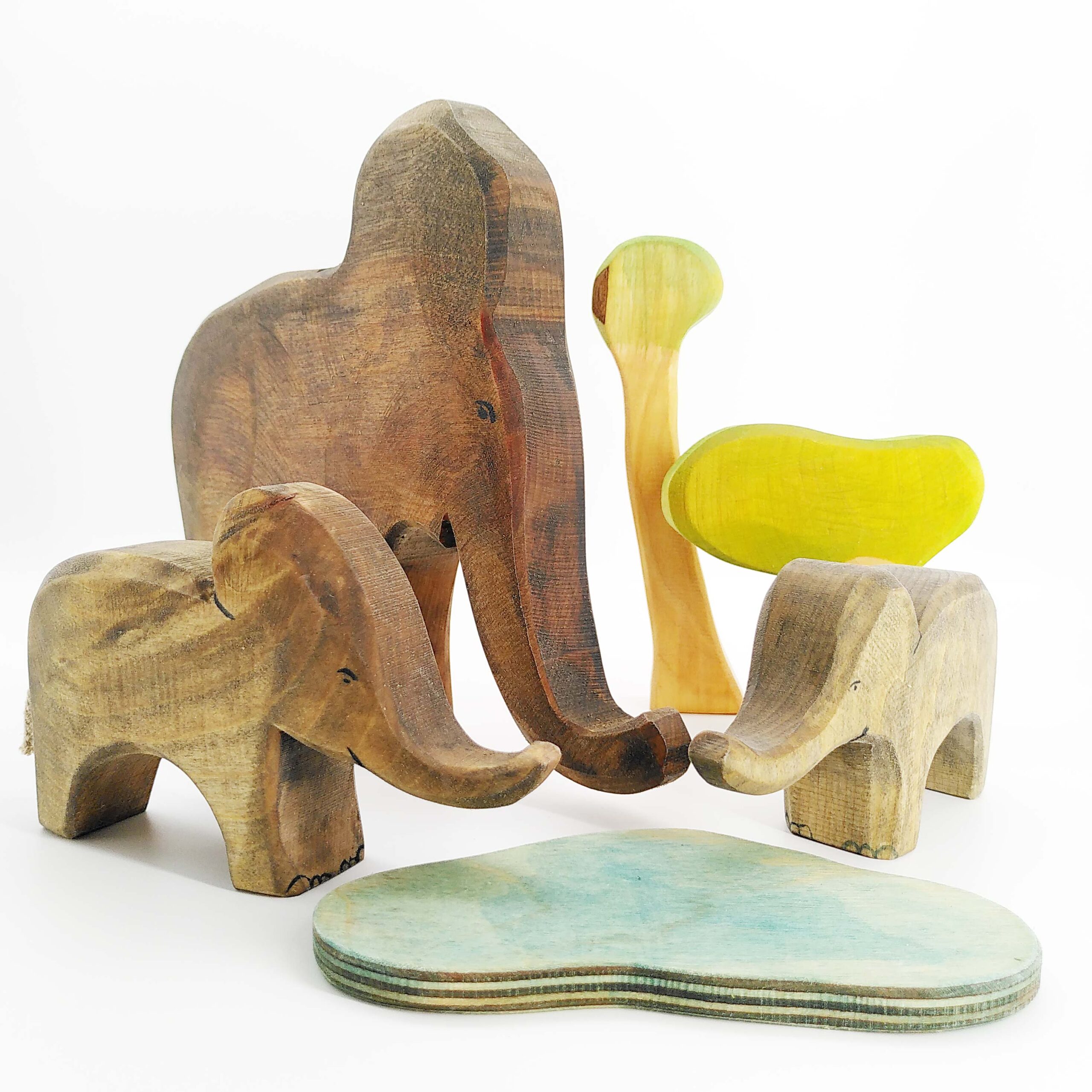 Brain der Elefantenbulle – Bild 4