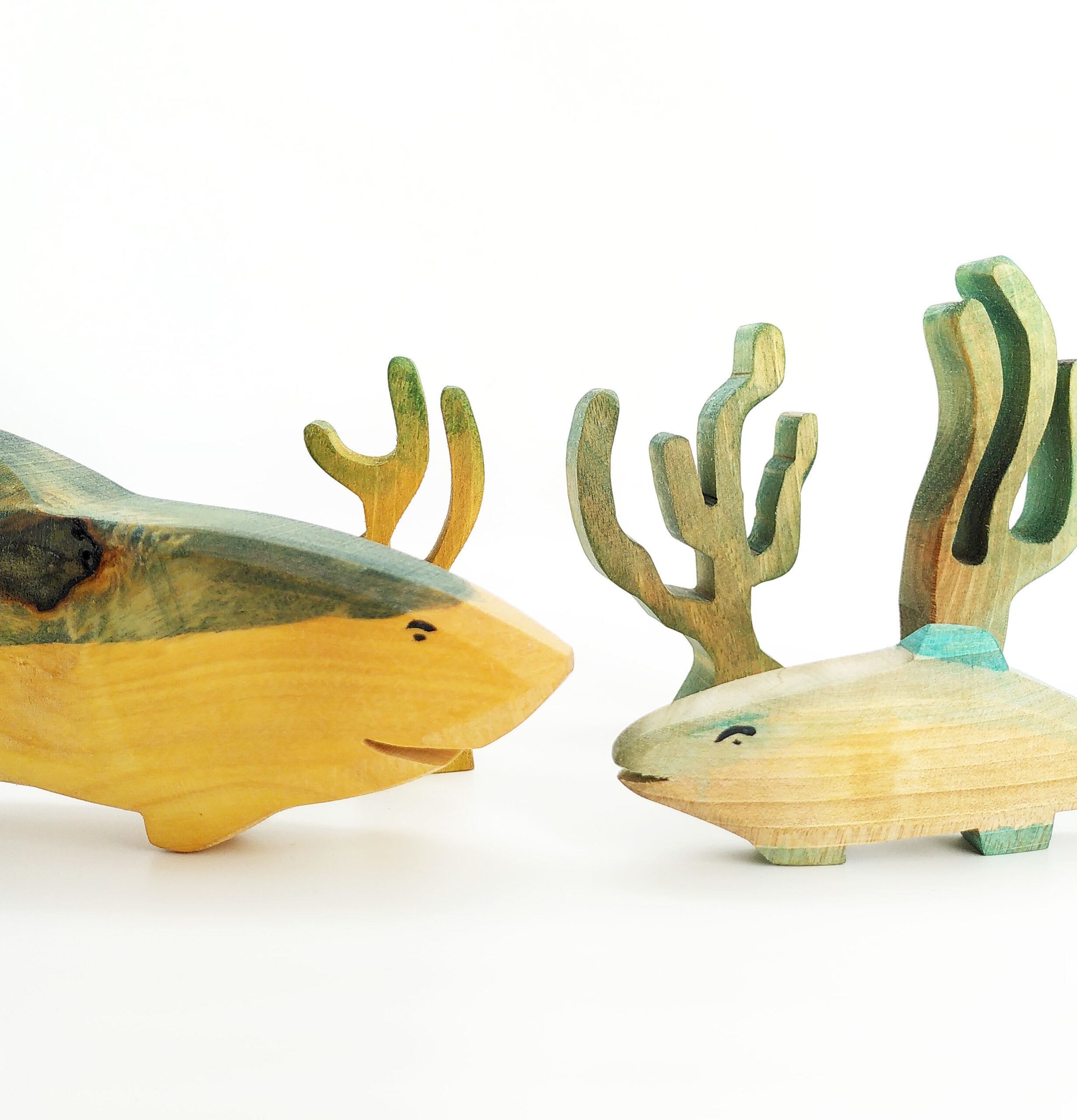 Heiner der Hai – Bild 3