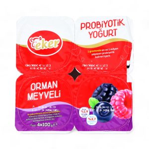 Eker Yogurt Orman Meyveli 4x100g