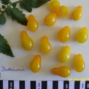 Dattelwein
