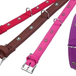 Karlie Halsband Buffalo Deco Karlie Größen 65cm / 40 mm