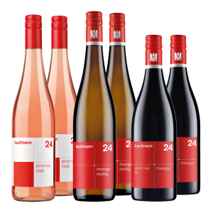 kaufmannkennenlernpaket I