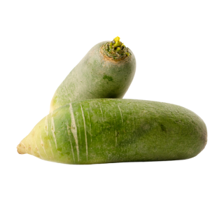 Rettich green meat