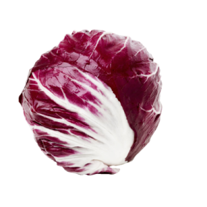 Radicchio