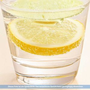 229.Soda Zitrone (0,50l)