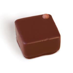 Marc de Champagne in Zartbitterschokolade