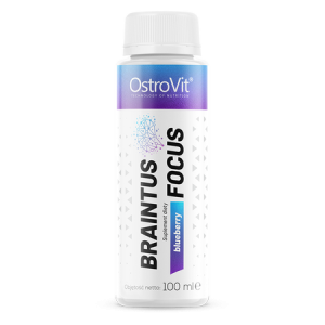 OstroVit Braintus Focus Shot,100 ml, Blaubeere