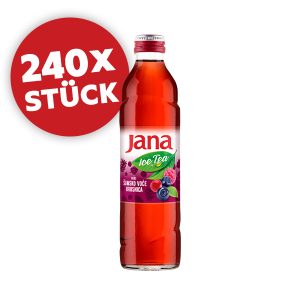 Jana – Ice Tea Waldfrucht im Glas – 240x330ml